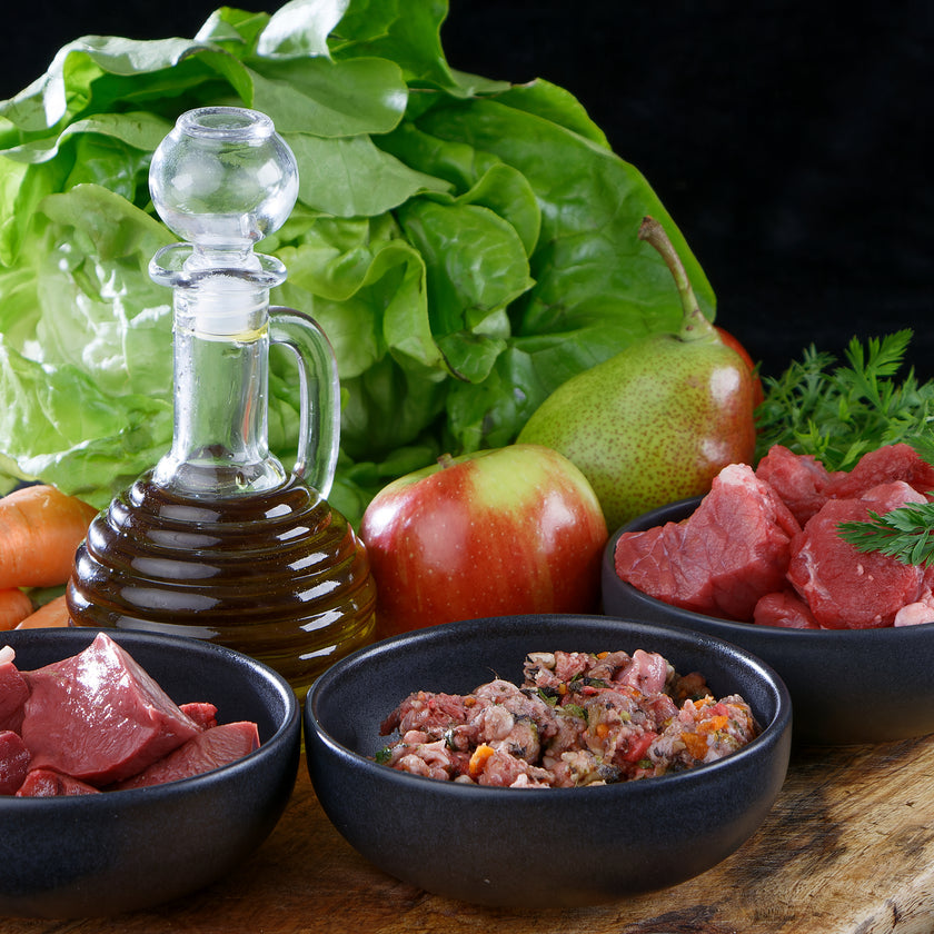 Hundefutter & Leckerlies