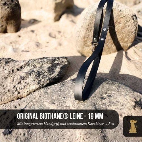 Premium Hundeleine UM'S ECK aus BioThane/POP - Band - mit Edelstahlko   Der Hundegefhrte