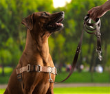 STURMFREI® – Patentierte Front-Führung - Größe XL&XXL