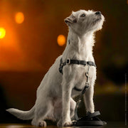 Harnais anti-stress STURMFREI®, taille XS