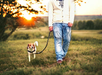 Harnais anti-stress STURMFREI®, taille S pour les centrales