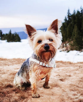 Harnais anti-stress STURMFREI®, taille XXS