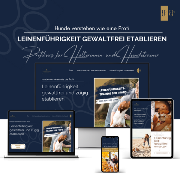 Online-Kurs "Wie dein Hund ohne Gewalt leinenführig wird"