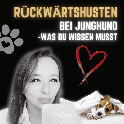 Rückwärtshusten beim Junghund - Warum macht er das?