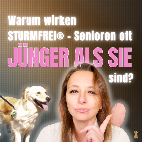 Warum Hunde mit STURMFREI® oft jünger wirken – Beobachtungen aus über zehn Jahren Erfahrung