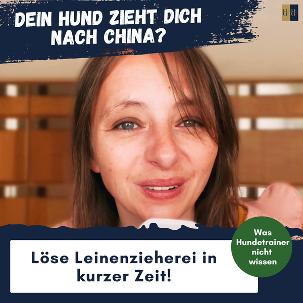 Online-Kurs "Wie dein Hund ohne Gewalt leinenführig wird"
