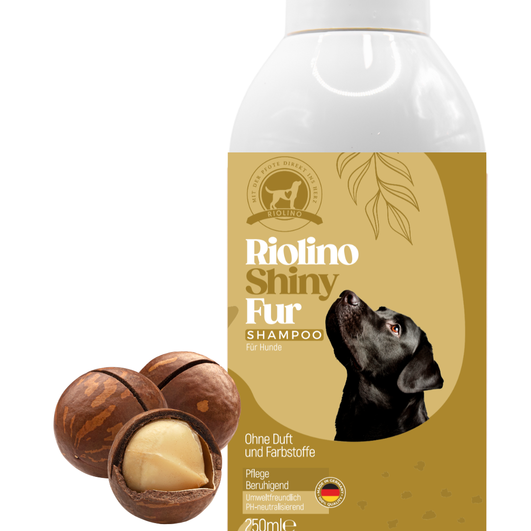 Hundeshampoo deutsch