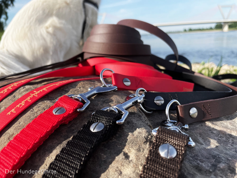 Klicker für Hundetraining