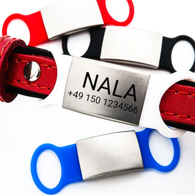 Klapperfreie Hundemarke aus Silikon & Edelstahl – Personalisierbar & sicher 🐾