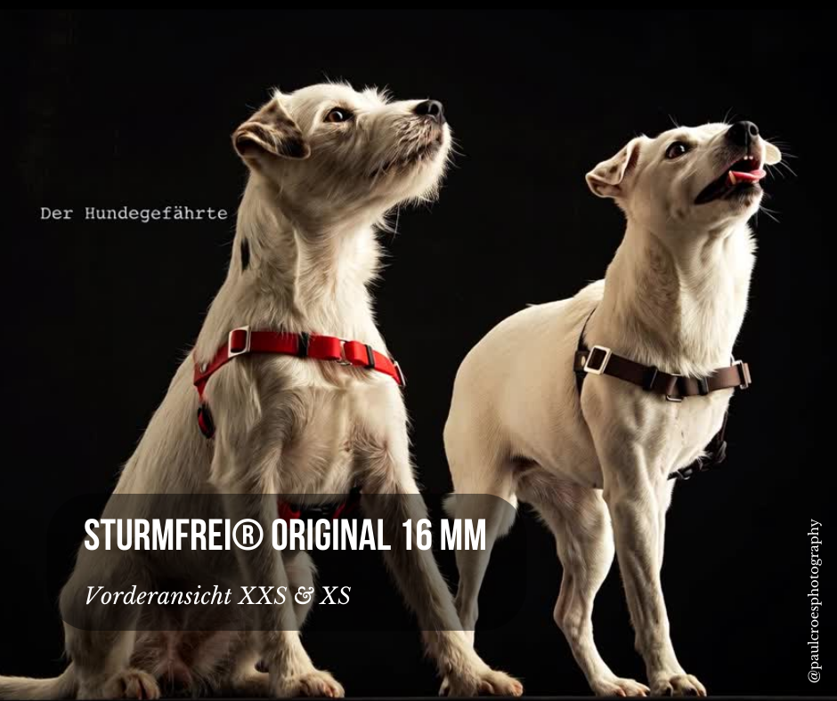 Vorderführgeschirr STURMFREI® Original (16 mm) – XXS & XS