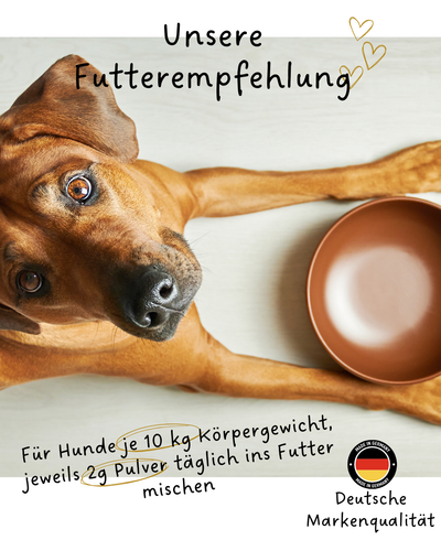Riolino FreshBite – Natürliche Zahnpflege für Hunde 🦷🐾