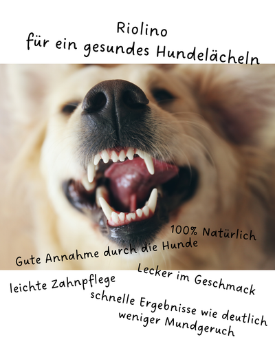 Riolino FreshBite – Natürliche Zahnpflege für Hunde 🦷🐾