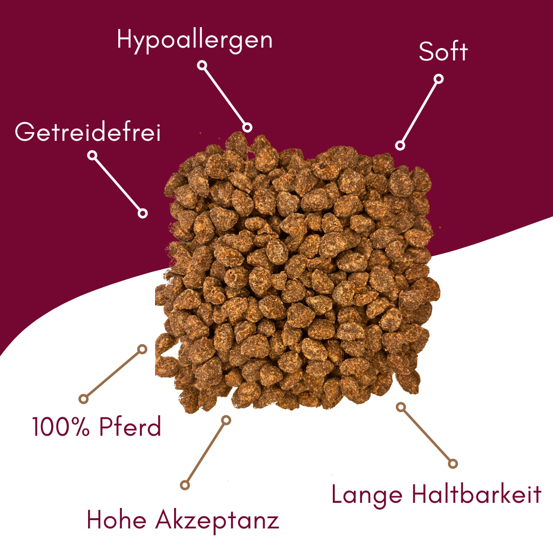 Pferde-Snacks von MyPetClub – purer Genuss für sensible Hunde