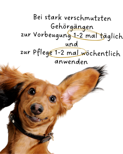 Riolino PureEars – Sanfte Ohrenpflege für Hunde & Katzen 🐶🐱