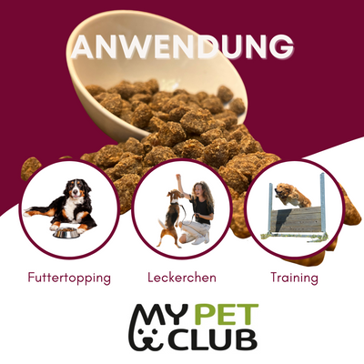 Pferde-Snacks von MyPetClub – purer Genuss für sensible Hunde