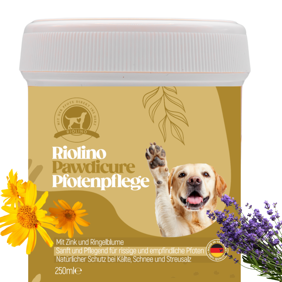 Riolino Pawdicure – Pfotenbalsam für Hunde für die kalte Jahreszeit
