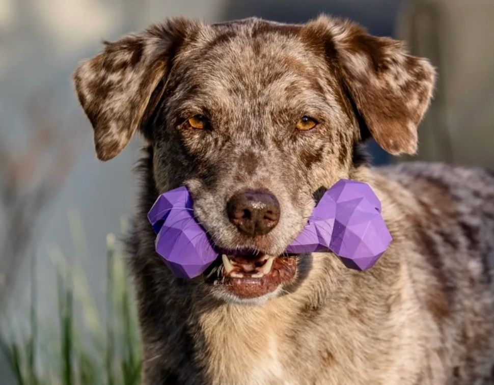 Riolino Hundespielzeug-Kauknochen – robust, gesund und stylisch 🐾 - ROT