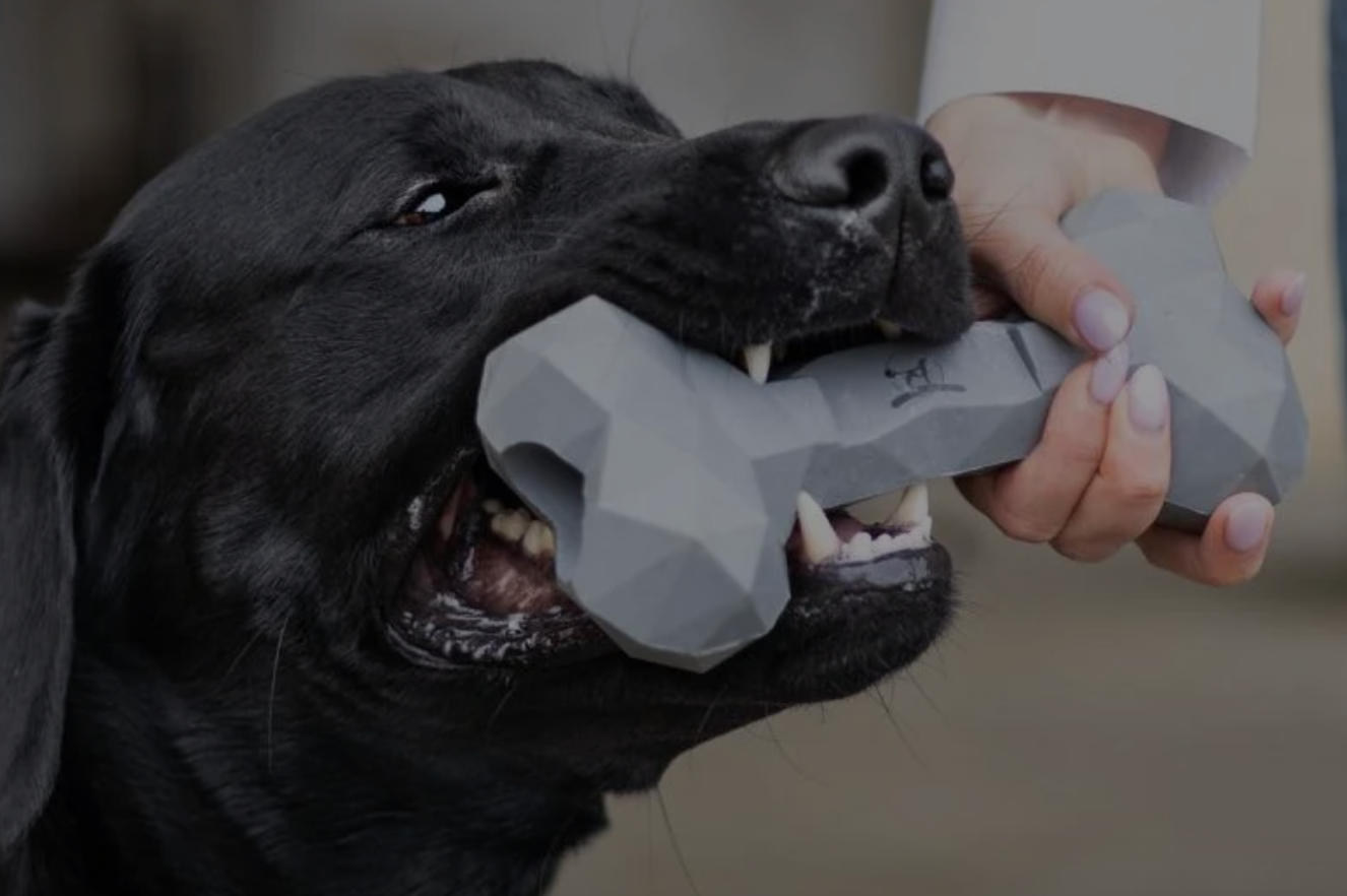 Riolino Hundespielzeug-Kauknochen – robust, gesund und stylisch 🐾 - ROT