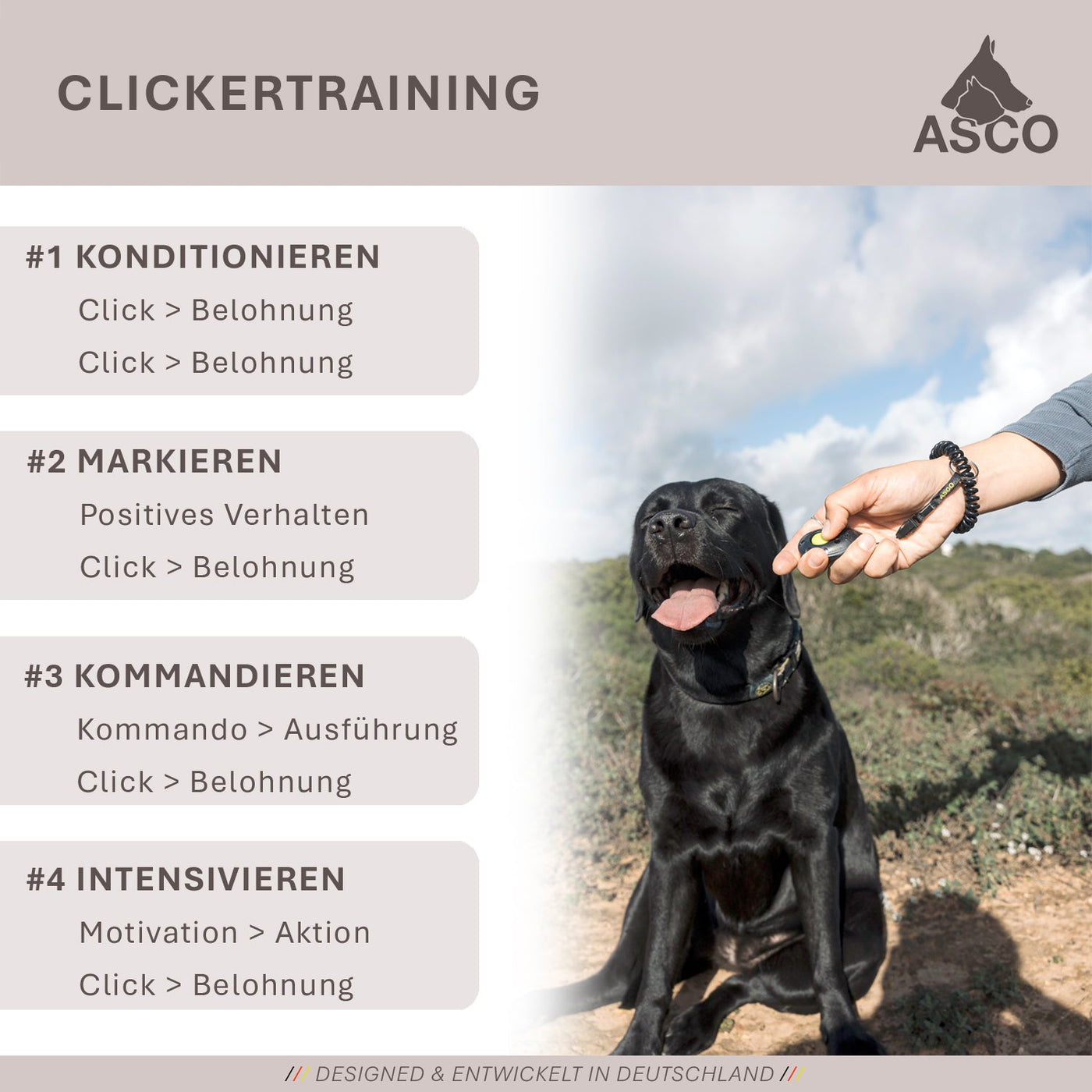 ASCO Finger Clicker – Premium-Clicker für Hunde, Katzen & Pferde