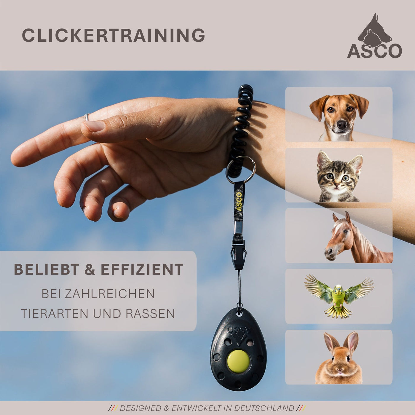 ASCO Finger Clicker – Premium-Clicker für Hunde, Katzen & Pferde