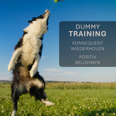 Innovativer Trainingsdummy – Robust, praktisch und perfekt für die Spürnasen-Ausbildung 🐾