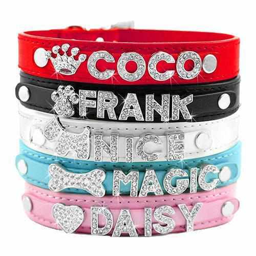 Personalized glitter dog collar – For small dogs with a big presence