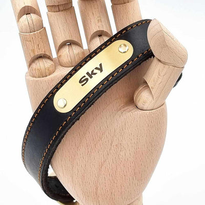 Hochwertiges Lederhalsband mit Gravur – Klassisch, robust & stilvoll 🐾