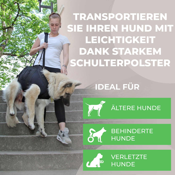 Hunde hochheben