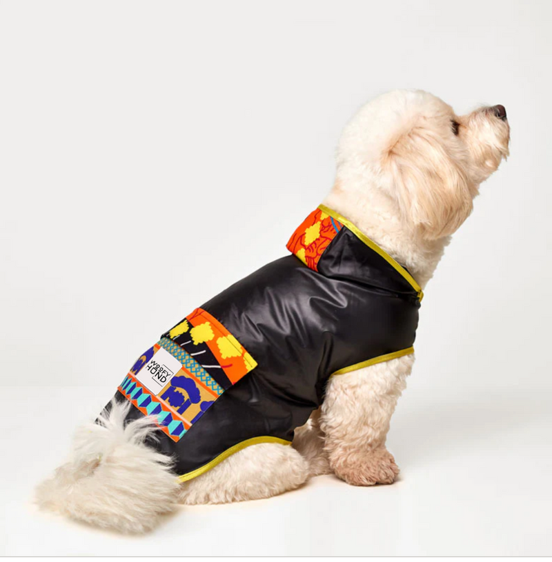 Hundemäntelchen Katalog