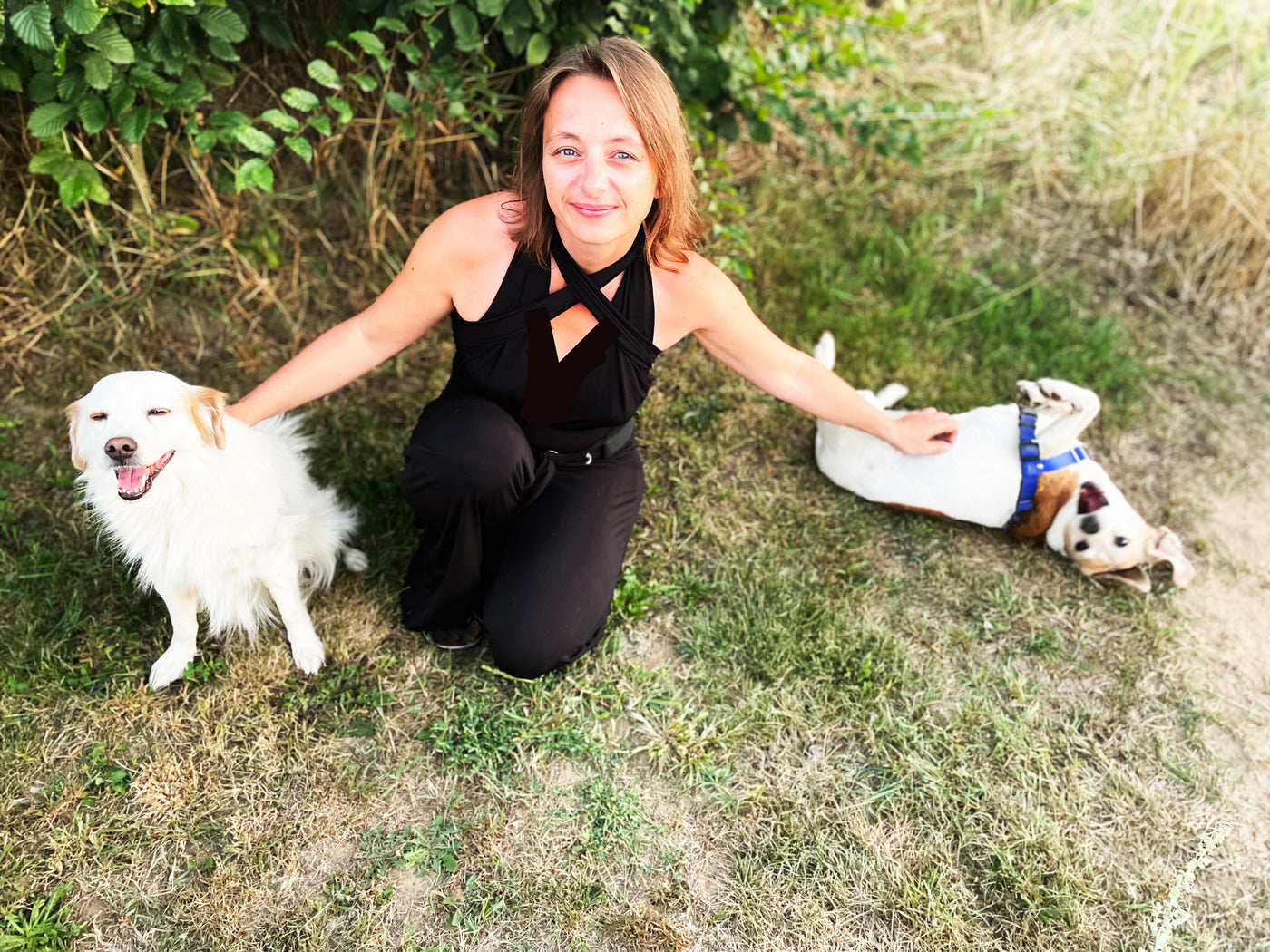 Booster-Kurs "Welcher Hund passt zu mir?: Finde den perfekten Begleiter"