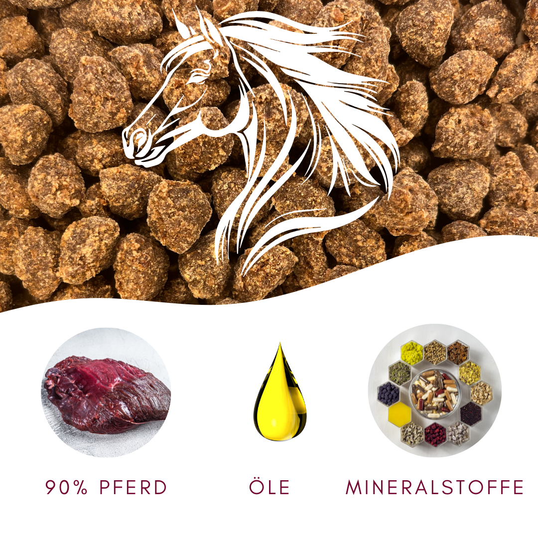 Pferde-Snacks von MyPetClub – purer Genuss für sensible Hunde