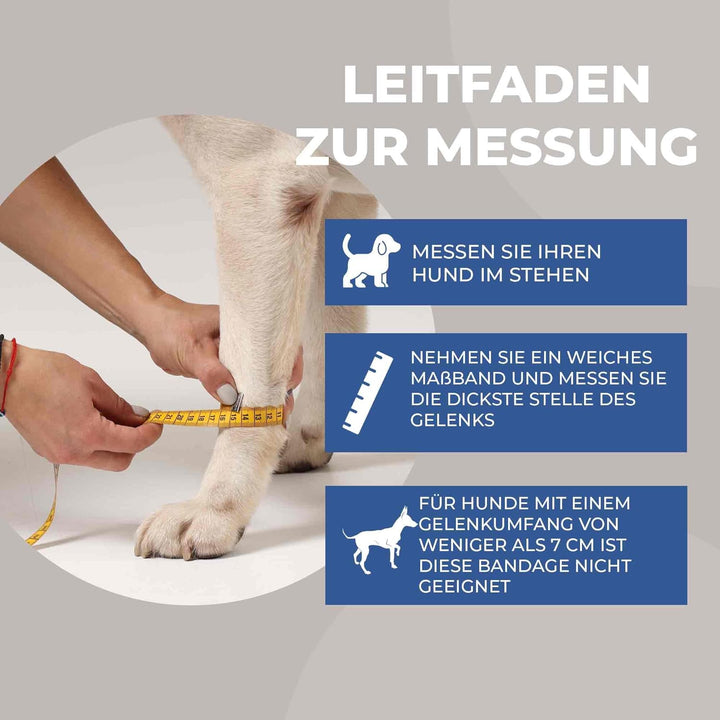 Bandage Hund fixierung