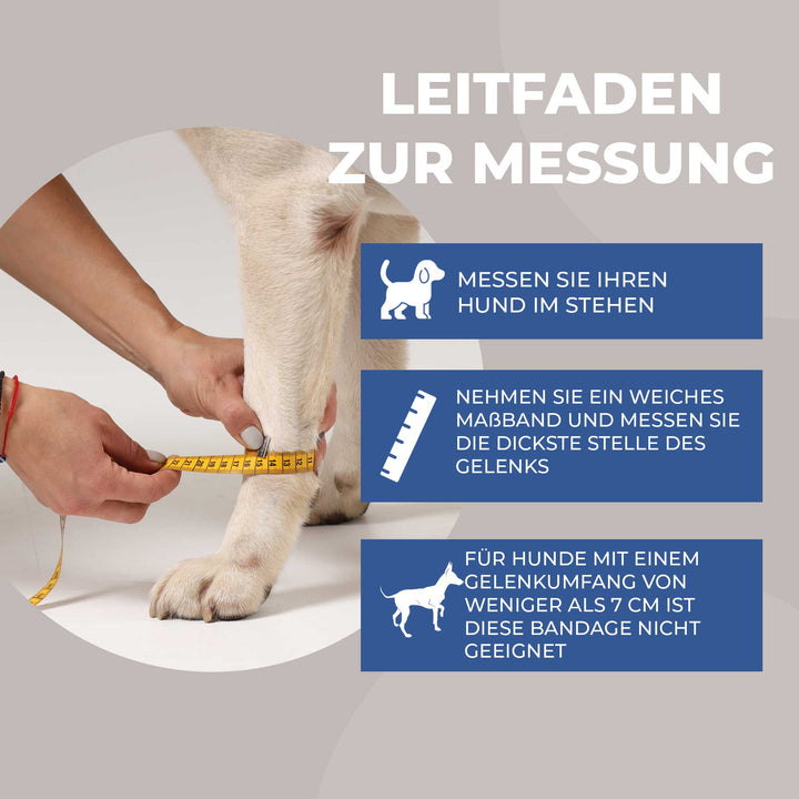 Agility Bandage Hund
