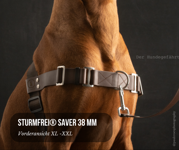 Vordergurt mit Ring Hundegeschirr