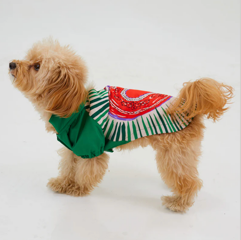 LoveShield Regenjacke - 100 % wasserdicht und atmungsaktiv