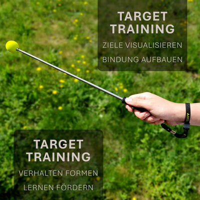 ASCO Target Stick – Ihr verlängertes Trainings-Tool für Hunde, Katzen und Pferde