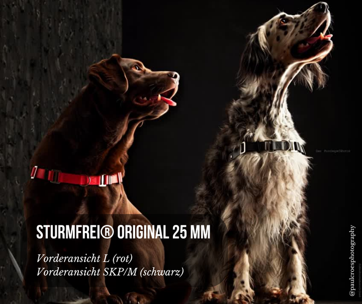 Hundegeschirr Biothane