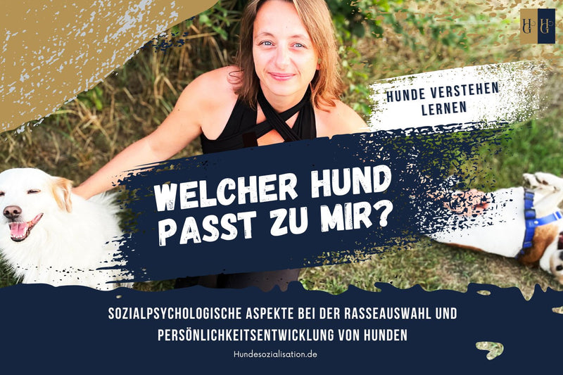 Booster course "Which dog is right for me?: Find the perfect companion"