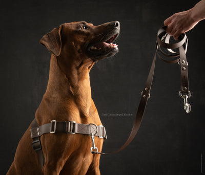 Anti-Stress-Geschirr STURMFREI®, Größe L