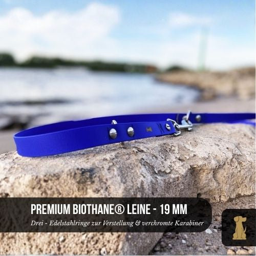 Laisse pour chien RATZFATZ en BioThane®/POP tape