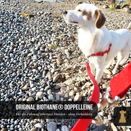 Laisse double TECHTELMECHTEL en BioThane®/Pop tape