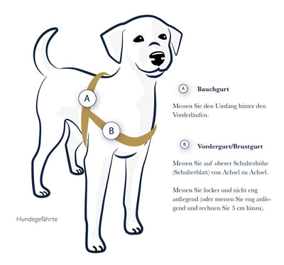 Harnais anti-stress STURMFREI® Saver pour chiens petits à moyens