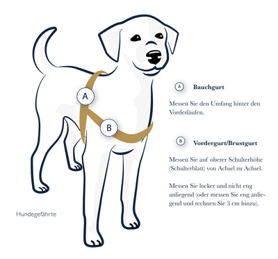 Anti-Stress-Geschirr STURMFREI® Saver für kleine bis mittlere Hunde