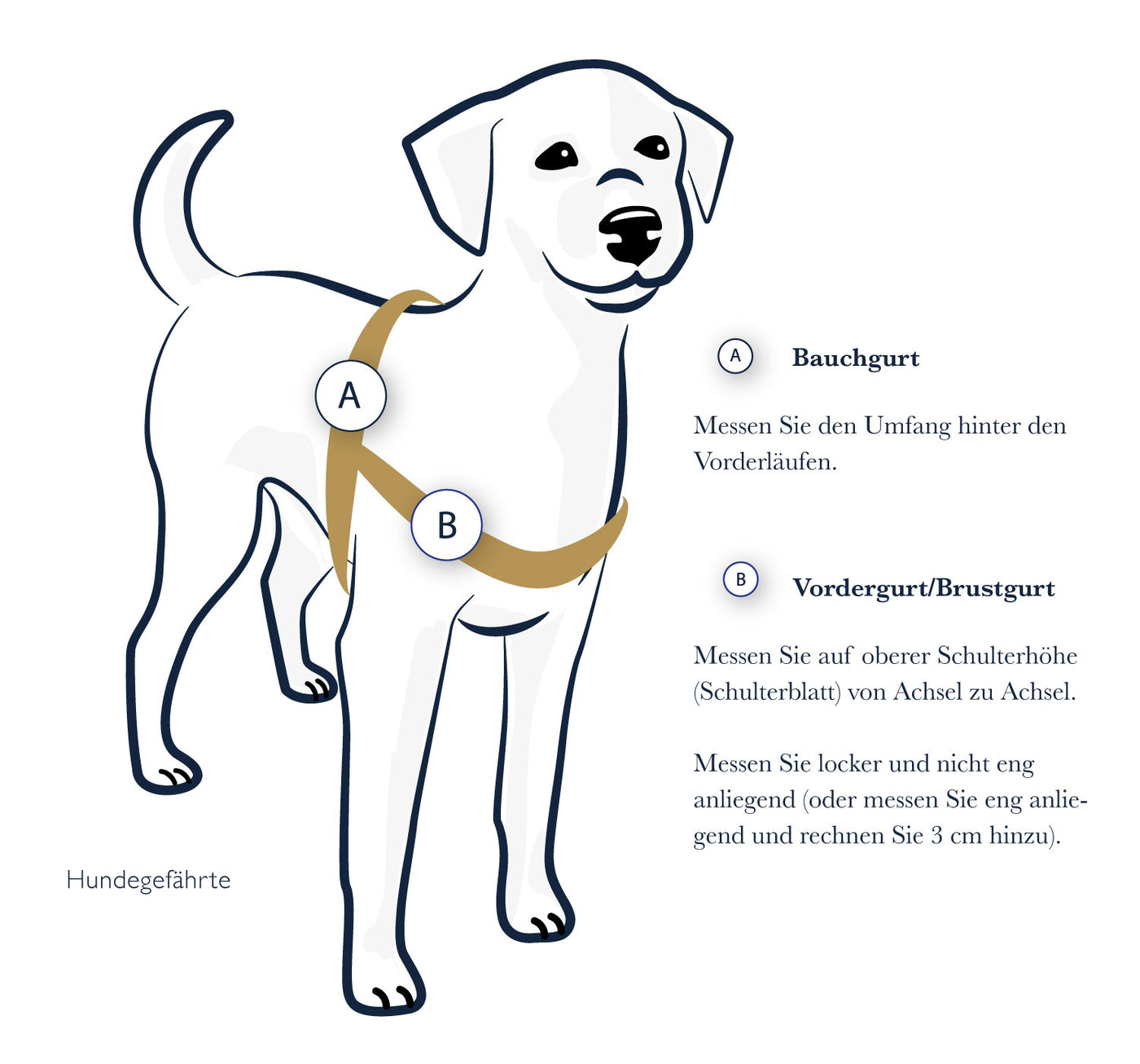 Anti-stress harness STURMFREI® Saver for large dogs