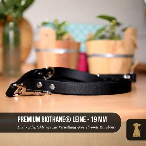 Premium Hundeleine RATZFATZ aus BioThane/POP - Band - mit Edelstahlko   Der Hundegefhrte