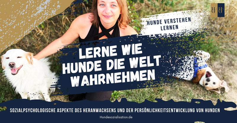 Hundegefährten Akademie - Masterclass PRO und VIP