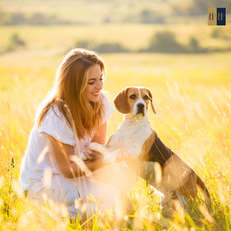 Hundegefährten Akademie - Masterclass PRO und VIP