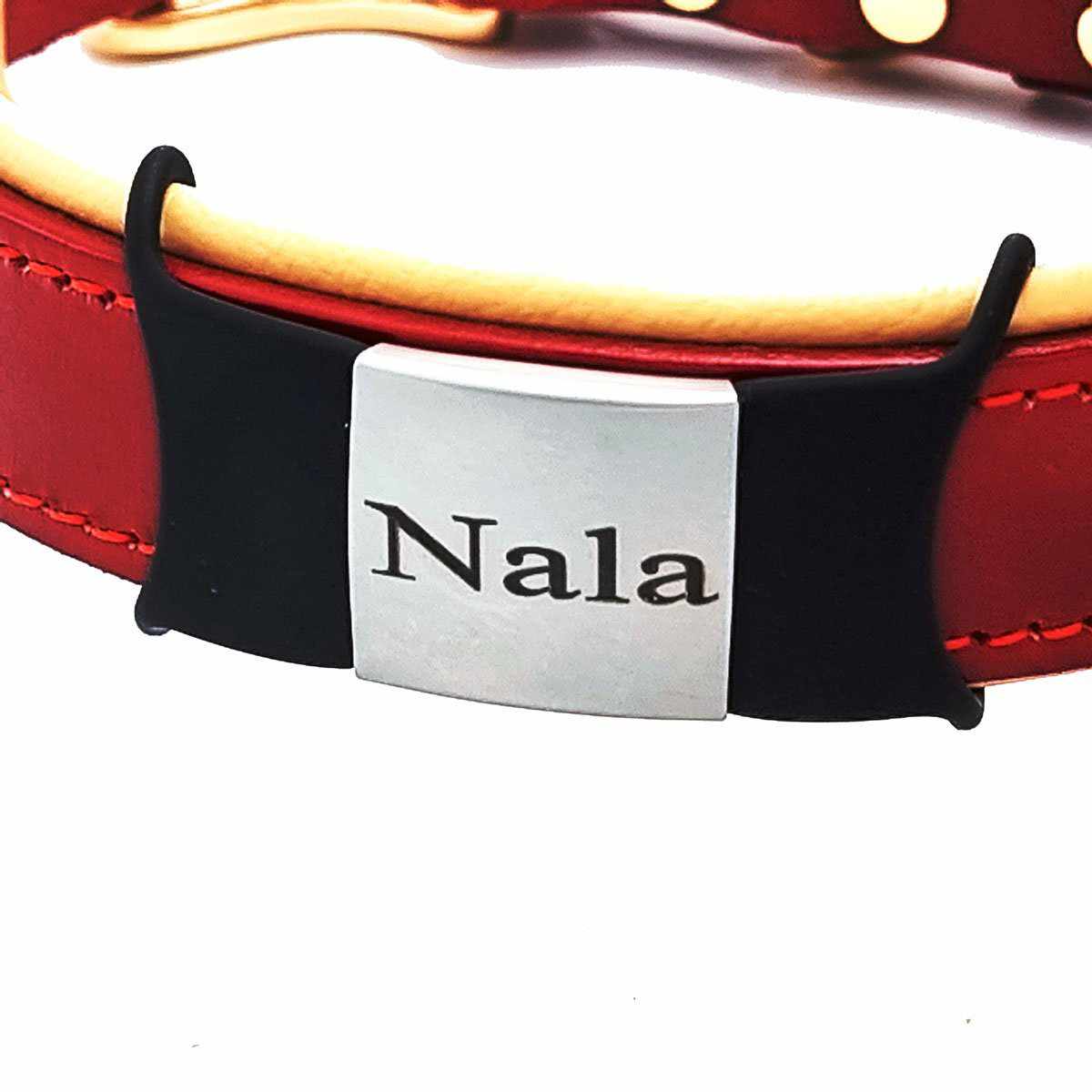 Klapperfreie Hundemarke aus Silikon & Edelstahl – Personalisierbar & sicher 🐾