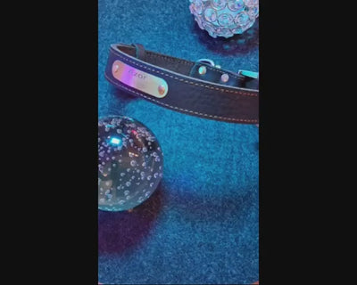 Hochwertiges Lederhalsband mit Gravur – Klassisch, robust & stilvoll 🐾