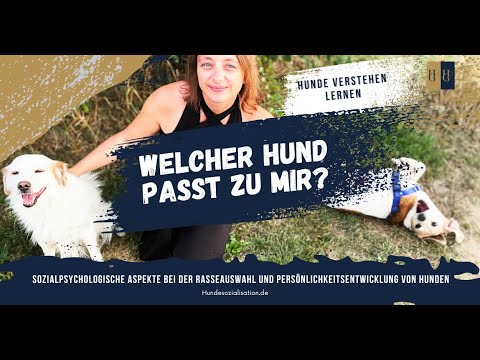 Booster-Kurs "Welcher Hund passt zu mir?: Finde den perfekten Begleiter"